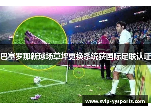 巴塞罗那新球场草坪更换系统获国际足联认证